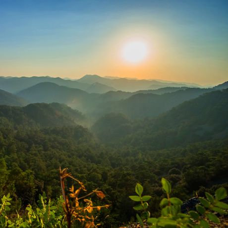 Wandern im Troodos Gebirge