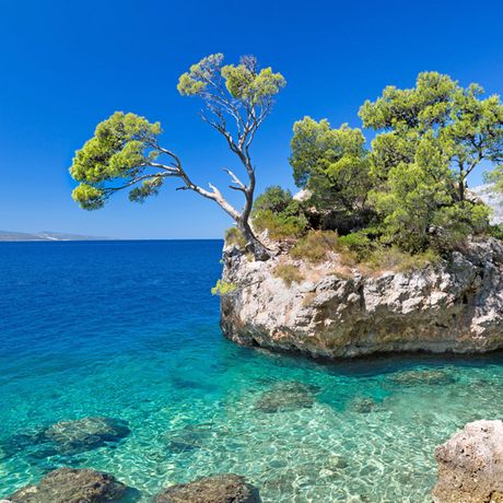 Traumhafte Fascette von Dalmatien, Kroatien