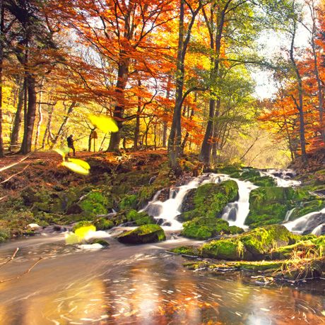 Wandern im Harz Urlaubsregion Deutschland