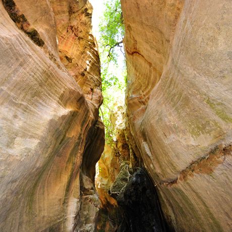 Viel Natur in Akamas