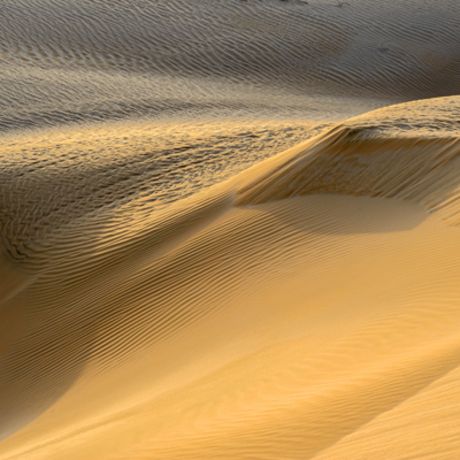 Wüstentour durch Wahiba Sands