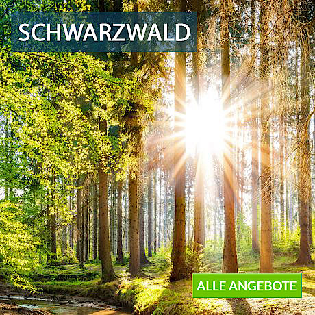 Erholung pur in Deutschland Schwarzwald