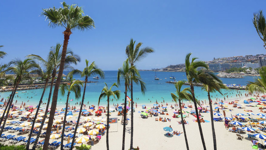 gran canaria strand palmen