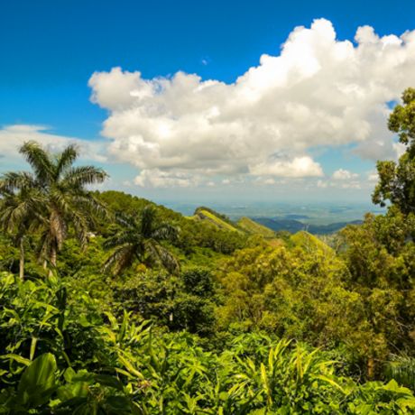 Sierra Maestra
