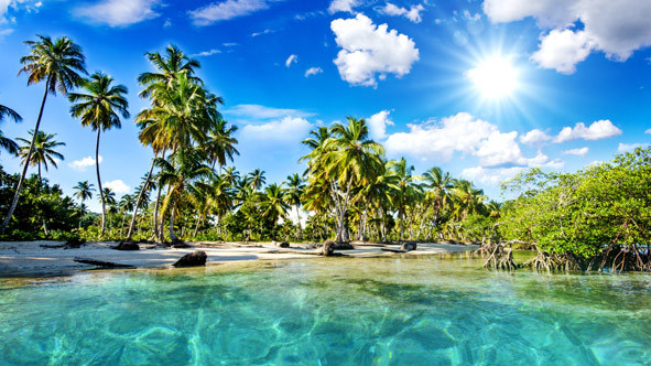 Dominikanische Republik Strand Karibik