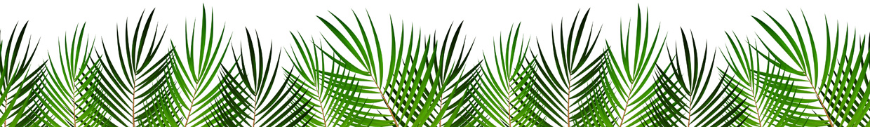 direktfluege nach kuba - cayo santa clara