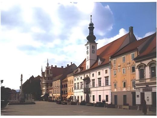 B&B HOTEL Maribor Orel