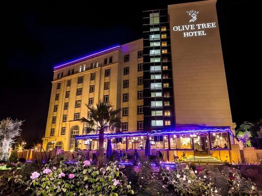 Olive Tree Hotel
