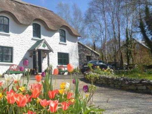 Lissyclearig Thatched Cottage