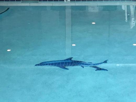 La Quinta Inn Fort Collins