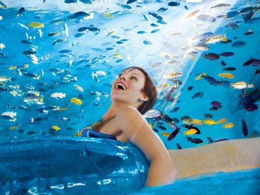 Hilton Garden Inn Tampa North