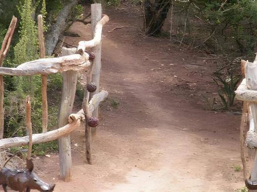Addo Dung Beetle Guest Farm