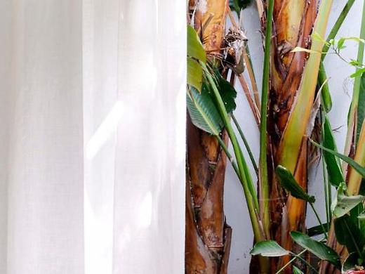 Rural Ca Na Xica & Spa Ibiza