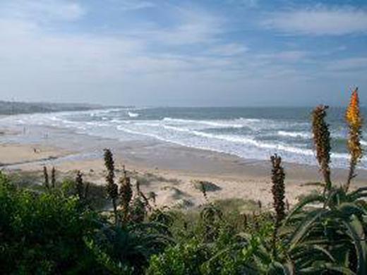Island Vibe Jeffreys Bay