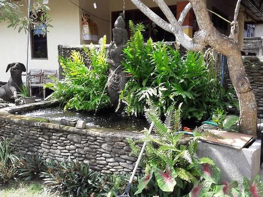 Three Ayu Family House