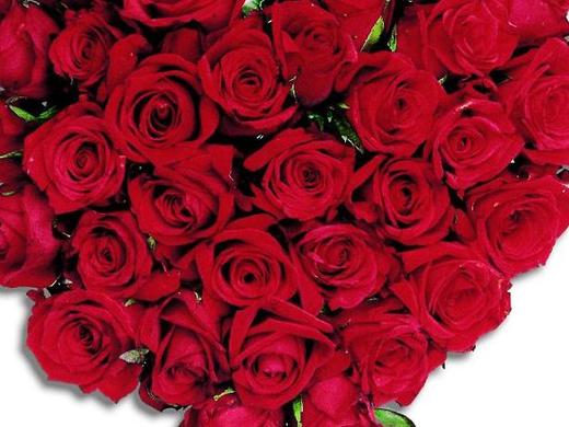 Genuss & Vitalhotel Moisl