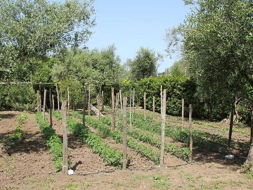 Agriturismo Piccolo Paradiso