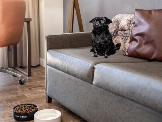 Residence Inn by Marriott Austin Downtown / Convention Center