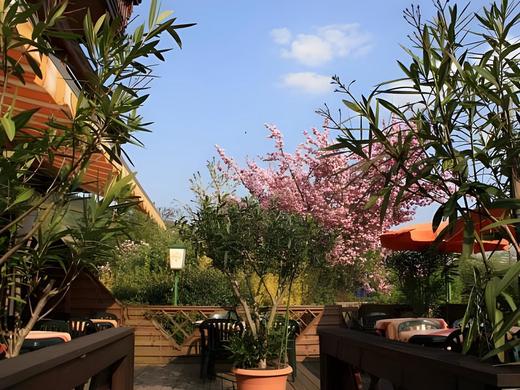 Mittlers Restaurant Hotel