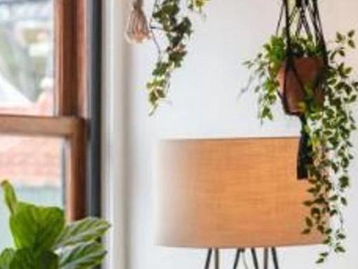 The House of Sandeman - Hostel & Suites