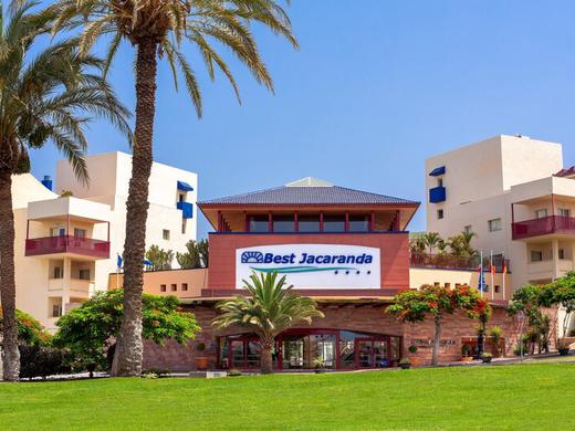 Best Jacaranda