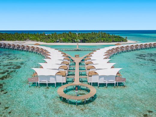 Cinnamon Hakuraa Huraa