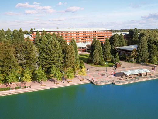 Disney Sequoia Lodge