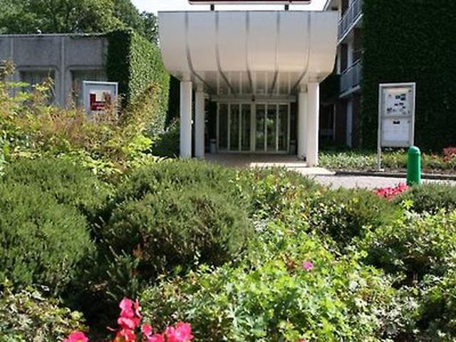 Bild