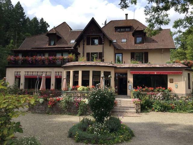 Bild