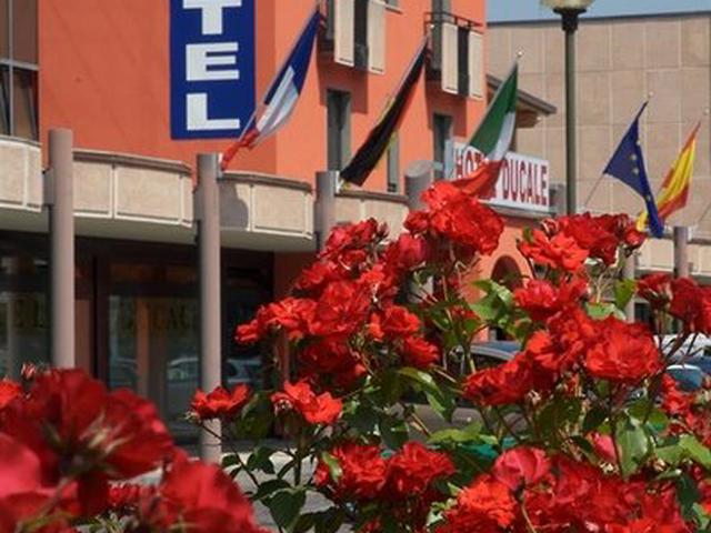 Bild