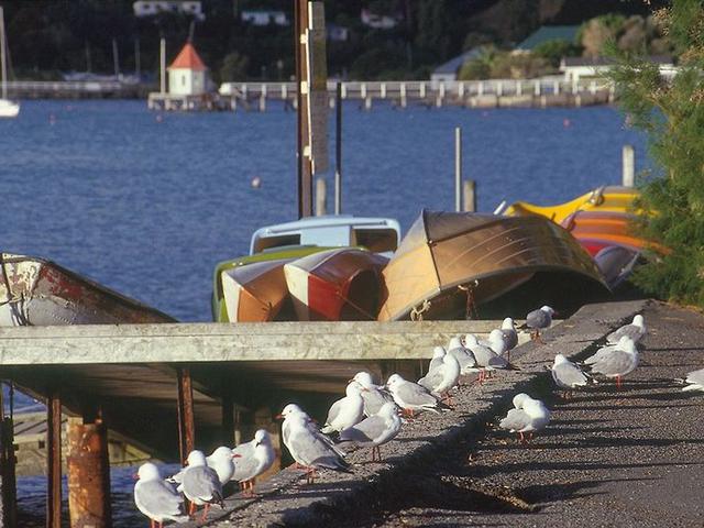 Bild