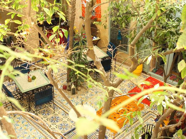 Bild