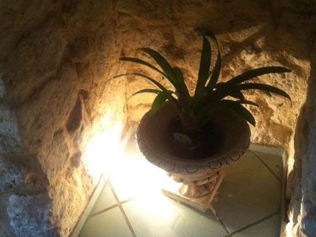 Bild