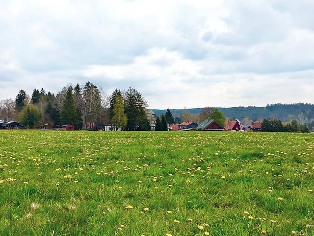 Bild