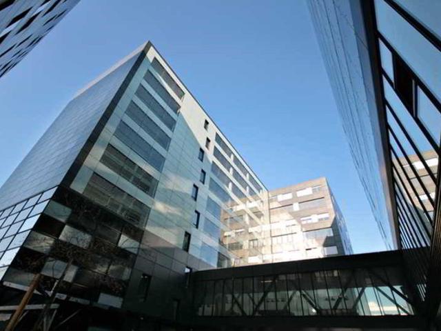 Bild