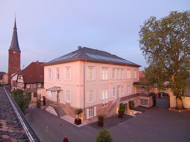Bild