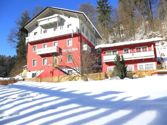 Bild