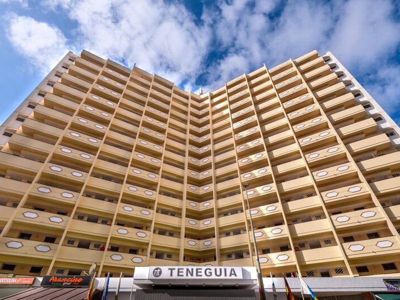 Teneguia