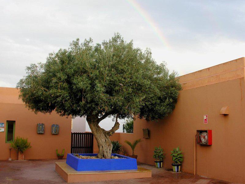 Hotel de Naturaleza Rodalquilar