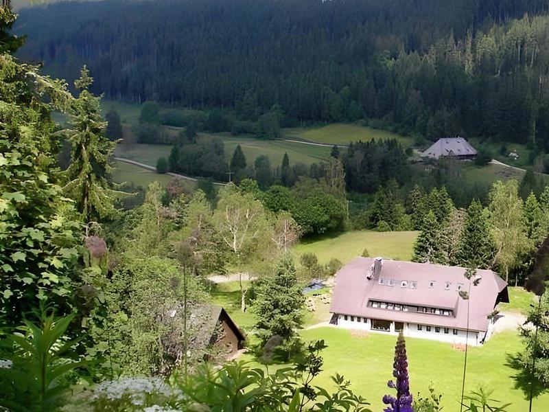 Behabühl