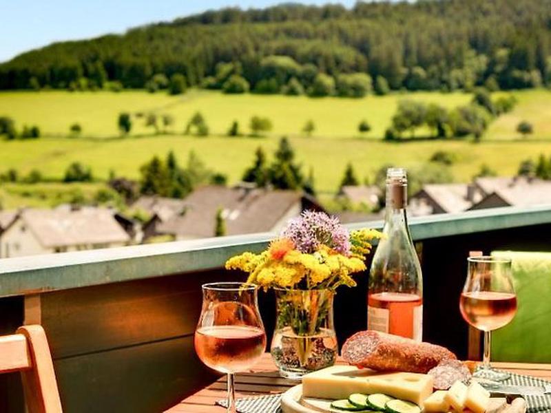 H+ Hotel Willingen