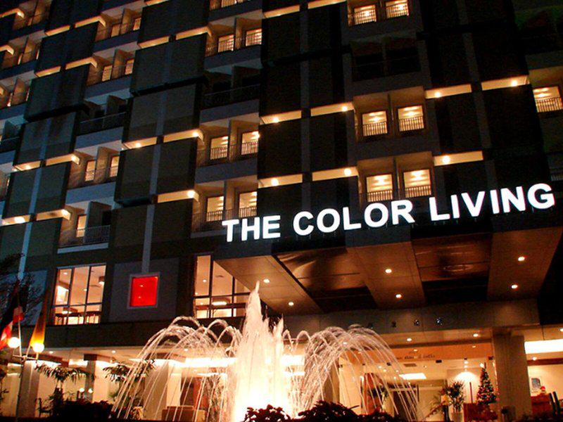 The Color Living