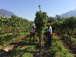 Residence La Vigna (tr)