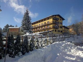 Hotel Des Alpes (tr)