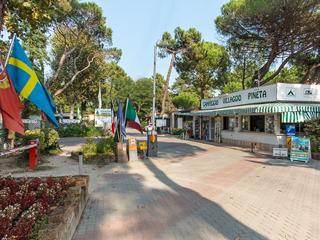 Pineta Family Camping Village (tr)