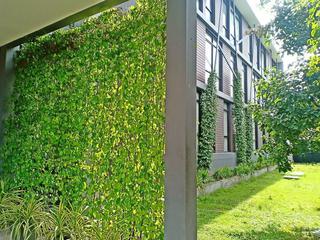 Vismaya Suvarnabhumi (tr)