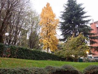 iH Aparthotel Milano Argonne Park (tr)