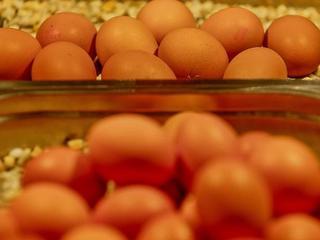 Schützenhof Jever (tr)