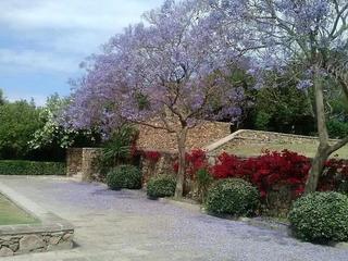 Baia delle Ginestre Ecovillage (tr)