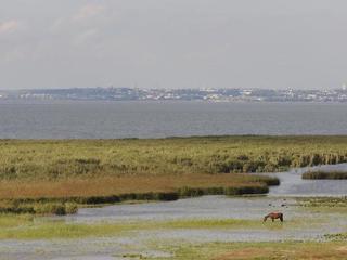 Seewirt Karner und Nebenhaus Attila (tr)